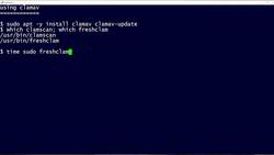 How to use the clamscan tool: 2-Minute Linux Tips Instructional Video