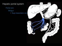Hepatic portal system Instructional Video