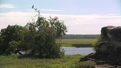 Men riding in a boat in the . Editorial Use Only. Stock Footage