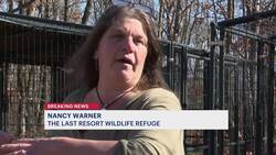 ‘I can’t put them at risk.’ Last Resort Wildlife Refuge taking in wildlife injured in West Milford wildfire News Clip
