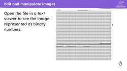 Manipulating digital images Instructional Video
