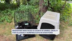 Bridgeport man faces 15 counts of animal cruelty for alleged cat-dumping News Clip