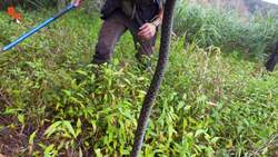 CAUTION! A Venomous and Poisonous Snake! Instructional Video