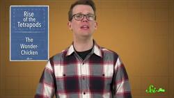 A Very Handy Fish Fossil Instructional Video