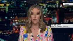 WE Charity proposed student volunteer program before getting grant contract, committee hears News Clip