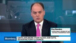 Electric Vehicles Well-Positioned to Take Market Share, BlackRock Says News Clip