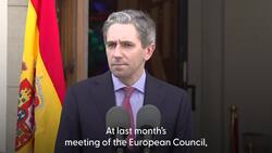 Recognition of Palestinian statehood by EU countries much closer - Irish premier News Clip
