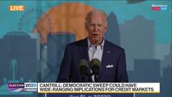 Which Industries Would Benefit From a Democratic Sweep? News Clip