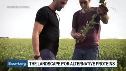 How Peas, Bugs and Shrimp Play a Role in Diversifying Cargill's Business News Clip