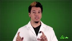 SciShow Quiz Show: The Science of Puppies! Instructional Video