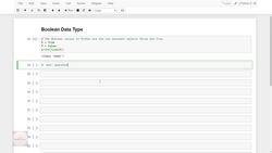 Deep Learning - Computer Vision for Beginners Using PyTorch - Boolean Data Type Instructional Video
