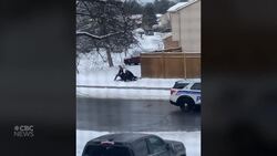 [WARNING: Video contains graphic footage] Kane Niyondagara pinned by police News Clip