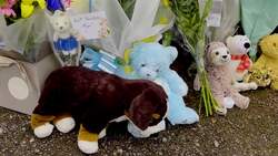 Irish police continue search in Donabate after remains of child found News Clip