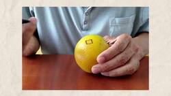 ¡El mundo no es como lo pintan! Instructional Video