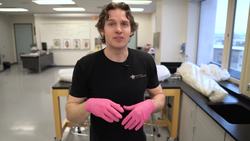 The Mystery Muscle: Palmaris Longus and Evolution in Human Anatomy Instructional Video