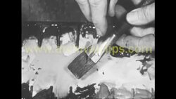 Paintbrush, 1950s Stock Footage
