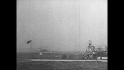 Before You Hunt 03 Stock Footage