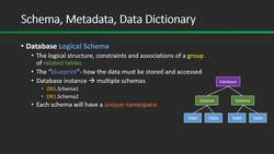 Master SQL for Data Analysis - Schema, Metadata, Data Dictionary Instructional Video