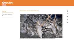 Can high-tech urban farming reduce Singapore's reliance on imports? Instructional Video