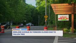 Downed tree closes portion of Midland Avenue in Yonkers News Clip