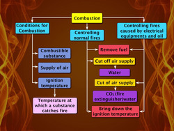 Conditions Required for Combustion Instructional Video