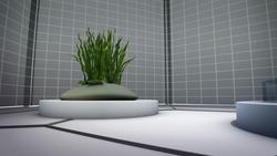 Seaweed eating microbes used to manufacture bioplastic Instructional Video