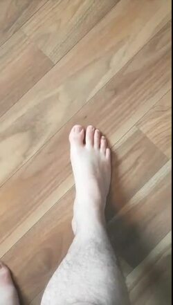 Inversion and Eversion | Plantarflexion and Dorsiflexion of the Foot Instructional Video