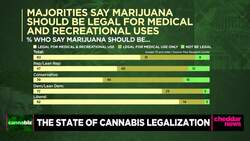 Oregon Congressman Says 'Tidal Wave of Support' Behind Federal Cannabis Legalization News Clip