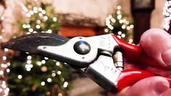 Garden Guide: Last minute gift ideas for gardeners News Clip