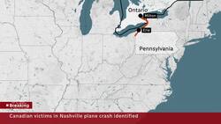Nashville plane crash: pilot inexperience may be a factor, expert says News Clip