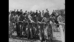Hawaii, 1952: Men and women partake in a hukilau where fish are caught for a feast Stock Footage