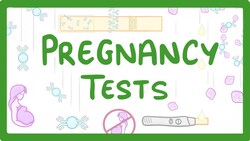 GCSE Biology - How do Pregnancy Tests Work? #41 Instructional Video