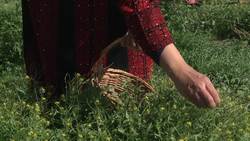 Tradition and Trailblazing: the First Bedouin Women Owned Business Instructional Video