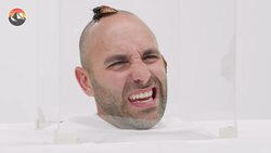 Can Roaches Lay Eggs in Your Brain?! Instructional Video