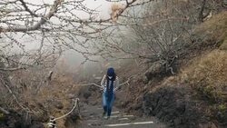 Young female tourist admiring Mt.Fuji's mossy landscape Stock Footage