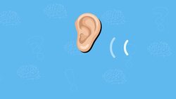 I WONDER - How Does The Brain Work With The Body? Instructional Video