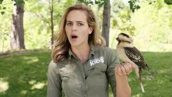 What's a Laughing Kookaburra? Meet This Peculiar Animal Instructional Video