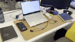 Are you getting 'home fever' while working remotely? News Clip