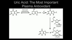 Gout Instructional Video