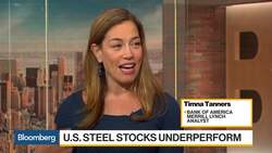 Timna Tanners Sees 'Steel-Mageddon' Ahead News Clip
