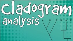 Cladogram Analysis Instructional Video