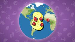 I WONDER - How Do Deep Sea Ecosystem Help Our Planet? Instructional Video