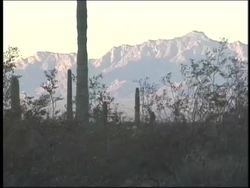 Natural Cycles: Annual Rhythms Instructional Video