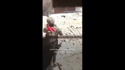 Trump says Israel agrees terms for ceasefire, urges Hamas to accept News Clip