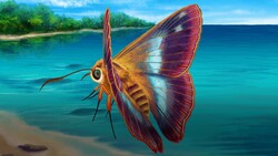 Beans & Bees (Not Bats) Gave Us Butterflies Instructional Video