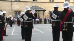 Princess Anne at Falklands War veterans event News Clip
