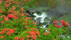 Chatsubomigoke Park at Nakanojo, Gunma, Japan Stock Footage