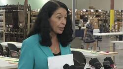Manual recount ordered for Florida Senate race News Clip