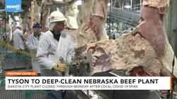 Tyson To Close Nebraska Beef Processing Plant For Deep Cleaning News Clip