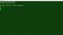 How to use the true and false commands: 2-Minute Linux Tips Instructional Video